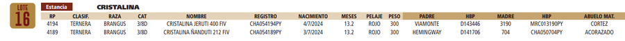 Lote LOTE 16