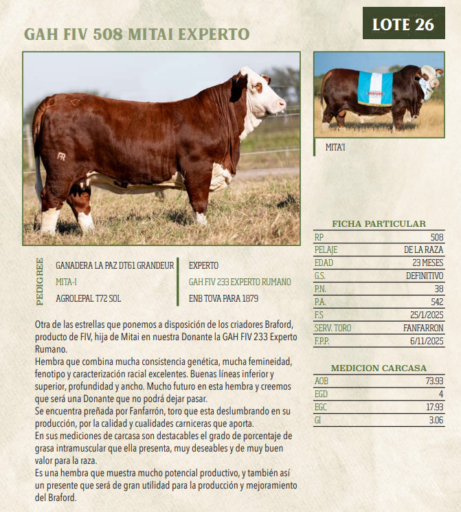 Lote LOTE 26