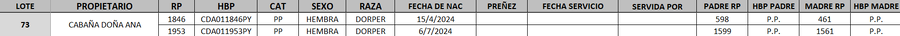 Lote LOTE 73- DESTACADO