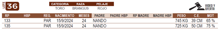 Lote LOTE 36