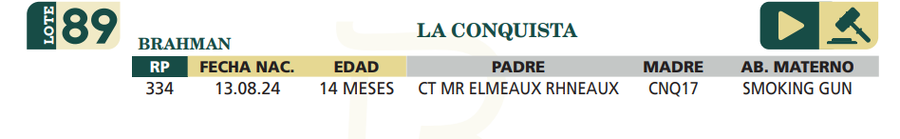 Lote LOTE 89