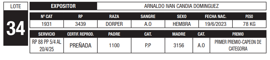 Lote LOTE 34