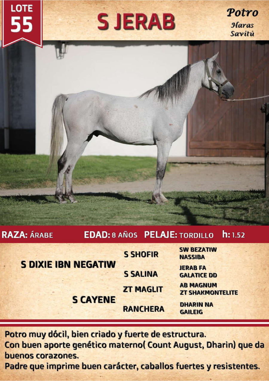 Lote S JERAB