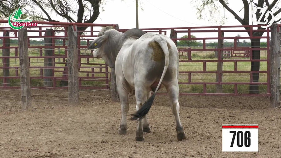 Lote Brahman