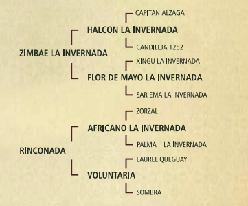 Lote Natalia de la cueva