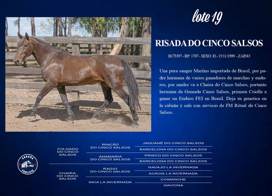 Lote Roisada Do Cinco Salsos