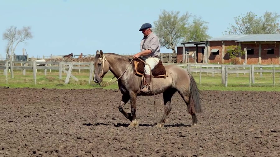 Lote Santa Ines  Doroteia
