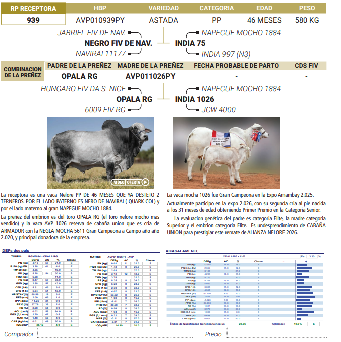 Lote LOTE 39