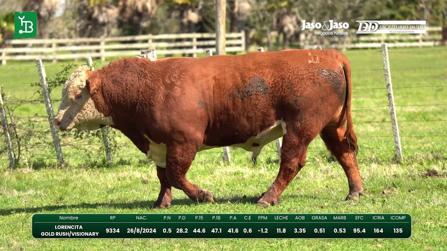 Lote Del Este / Cabaña La Lorencita