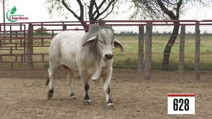 Lote Brahman