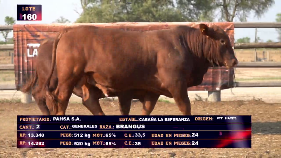 Lote PAHSA - LOTE 160