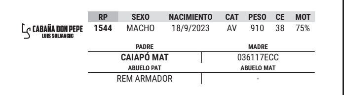 Lote LOTE 50