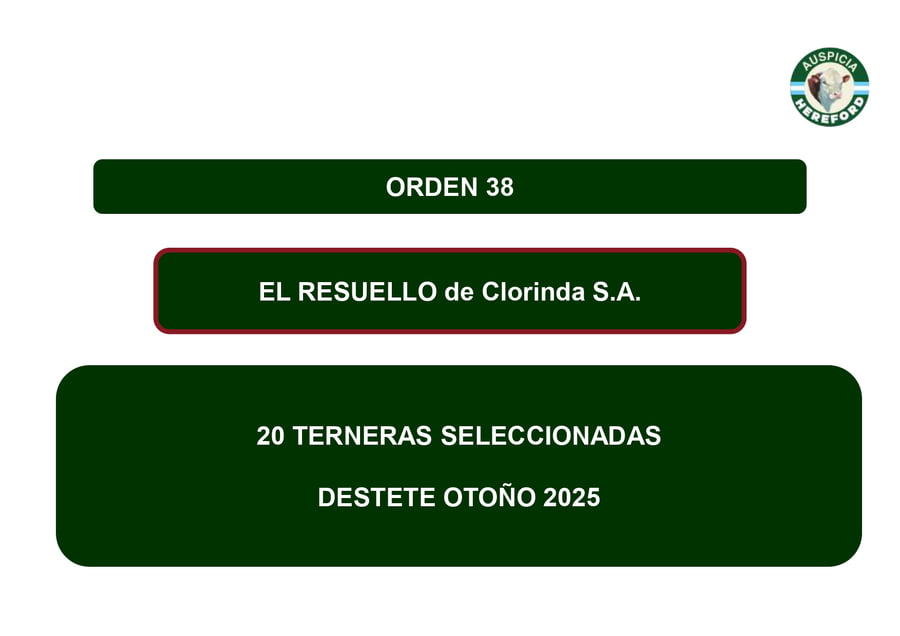 Lote TERNERAS SELECCIONADAS - EL RESUELLO