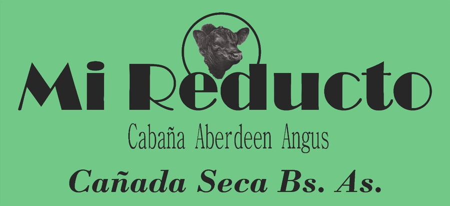 Lote 22 Vaquillonas A. Negras MAS  c/ Gtia de Preñez
