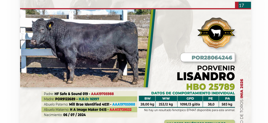 Lote 1 Toro LISANDRO DIIO 4246