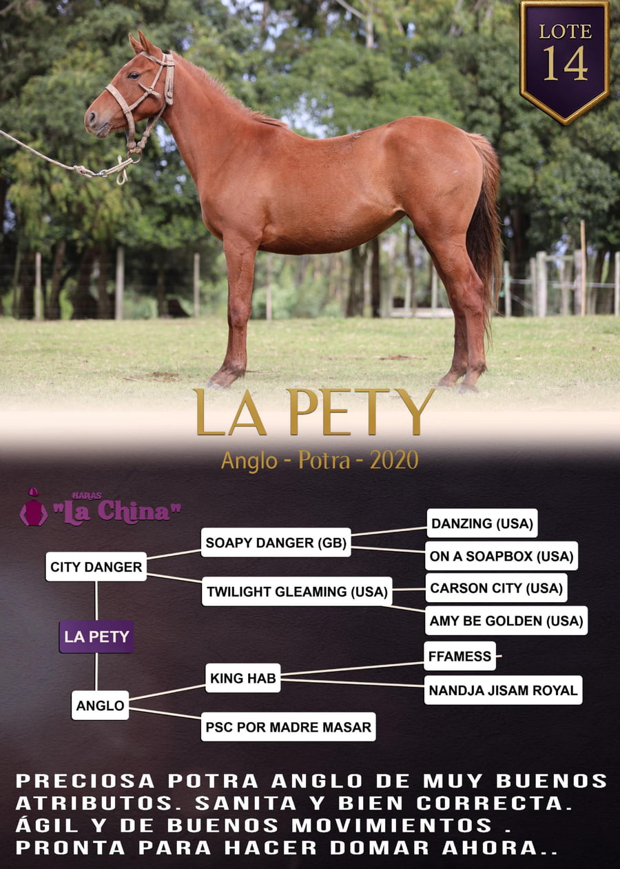 Lote LA PETY