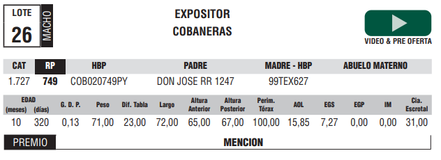Lote LOTE 26