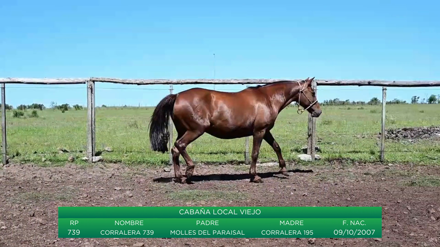 Lote Corralera 739