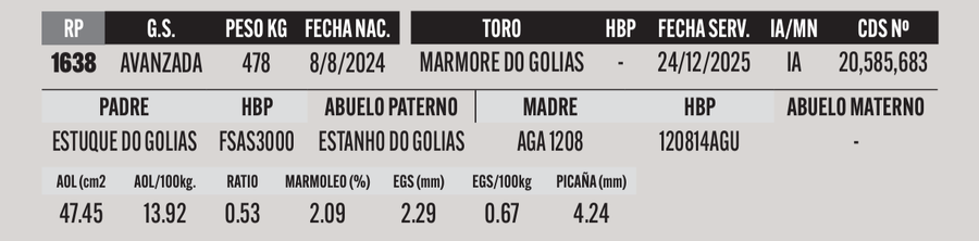 Lote LOTE 18
