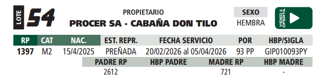 Lote LOTE 54
