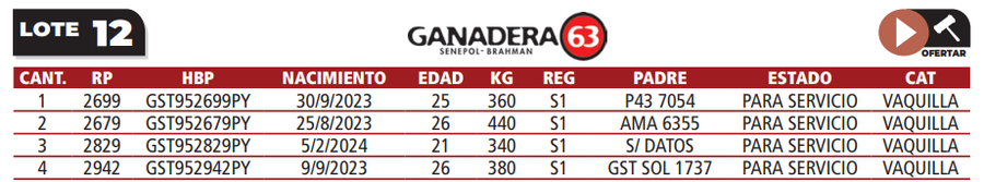 Lote LOTE 12