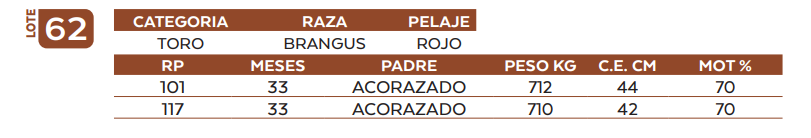 Lote LOTE 62