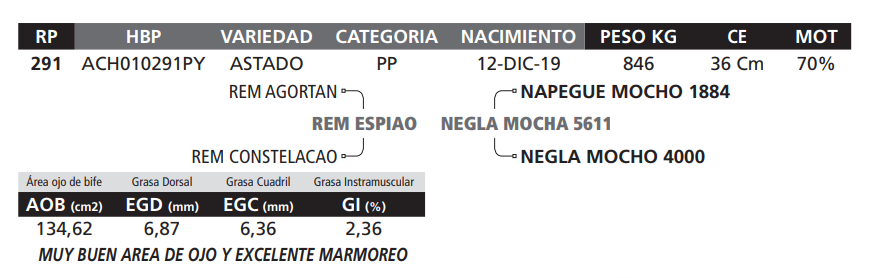 Lote LOTE 43