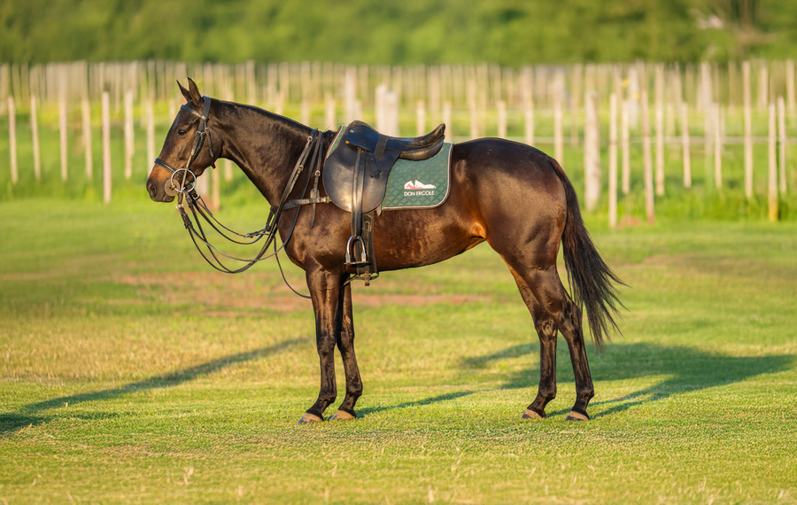 Lote DON ERCOLE RONOSA