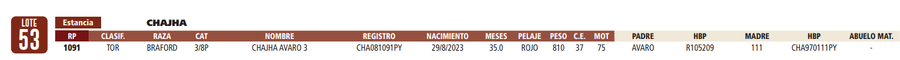 Lote LOTE 53