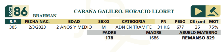 Lote LOTE 86