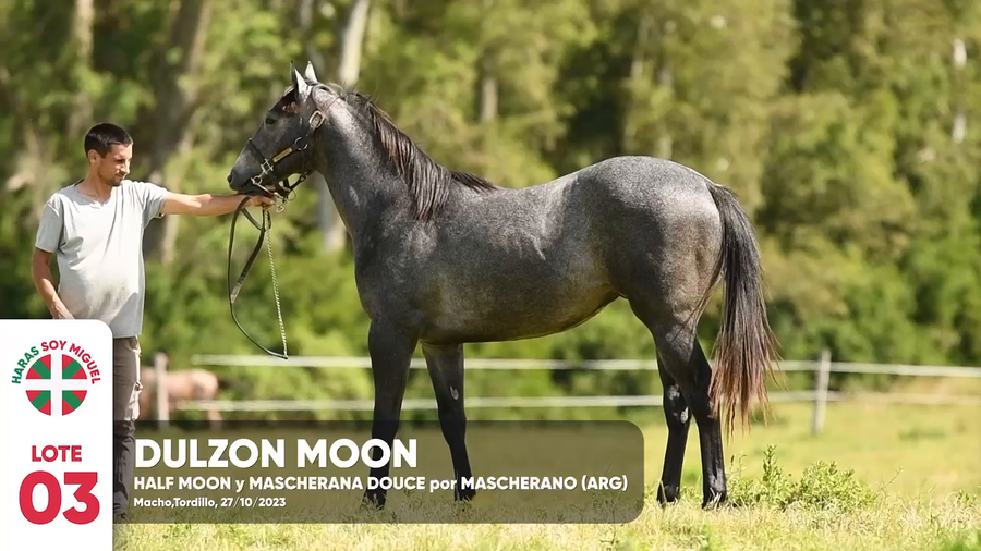 Lote DULZON MOON