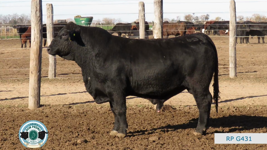 Lote CABAÑA DON PEDRO