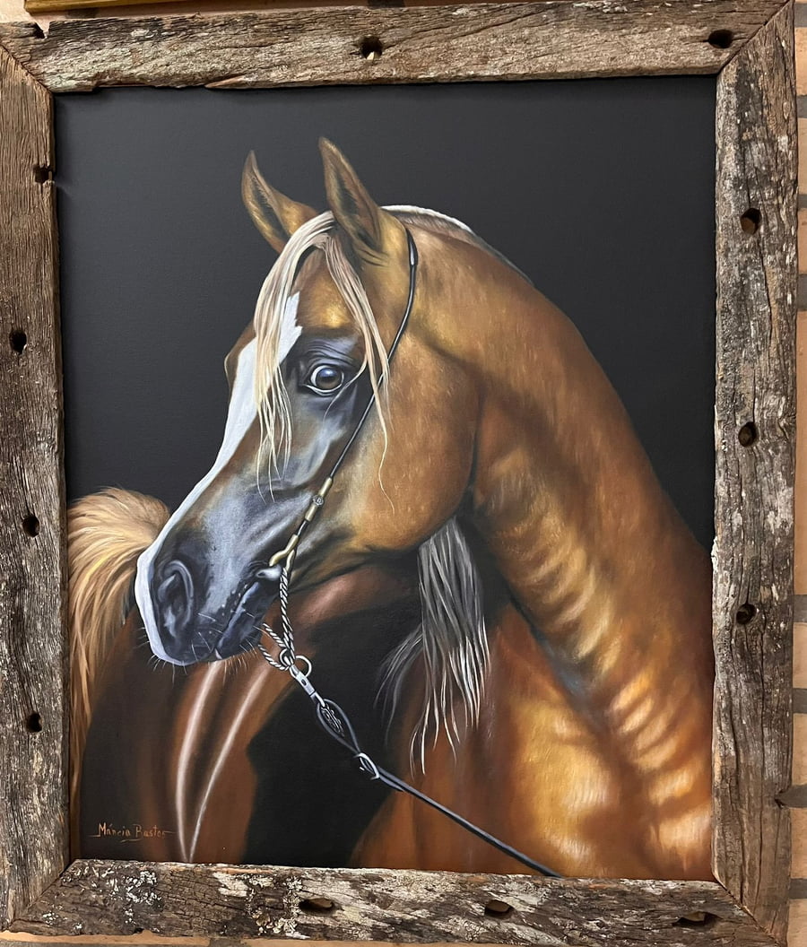 Lote LOTE 60 DONACION