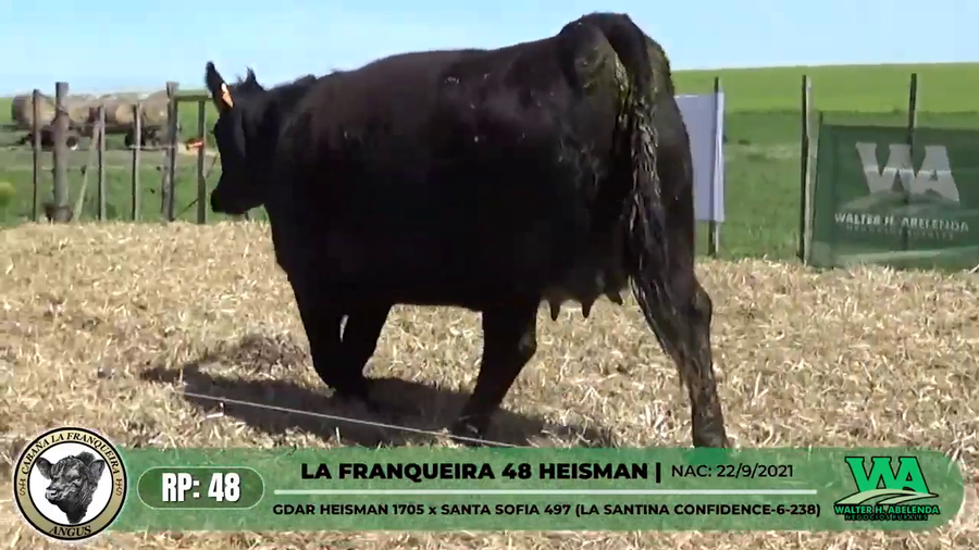 Lote LA FRANQUEIRA 48 HEISMAN