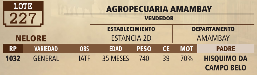 Lote LOTE 227 - VIVO