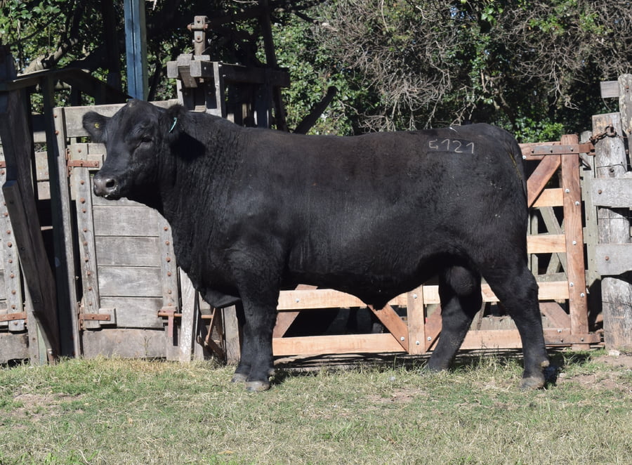Lote CABAÑA “COEMBOTÁ” de Calderón RP 121