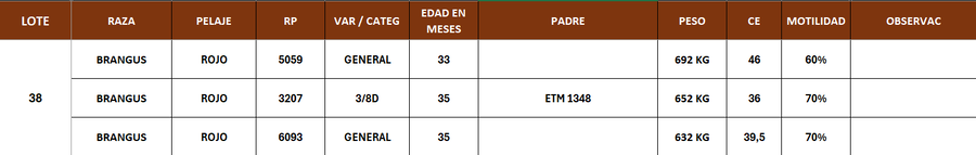 Lote LOTE 38- POR PANTALLA