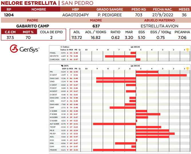Lote LOTE 18