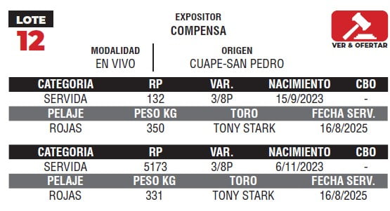 Lote LOTE 12- EN VIVO