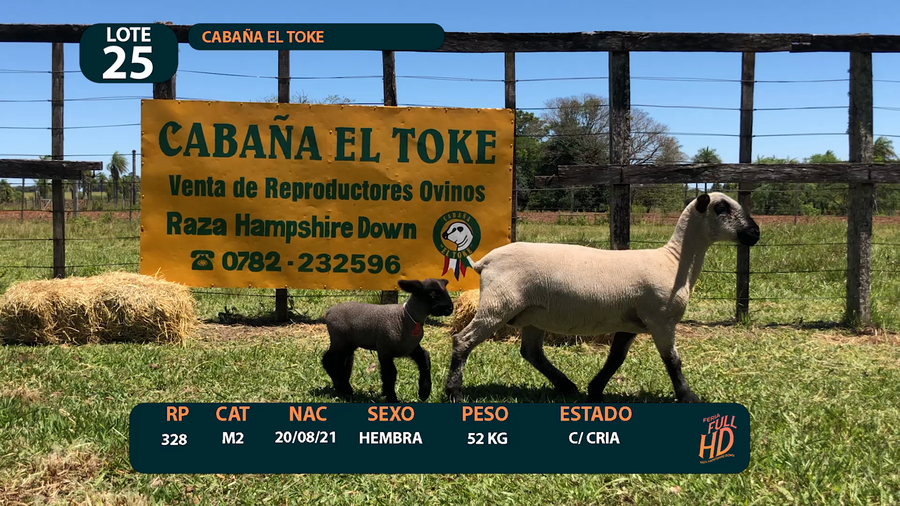 Lote LOTE 25