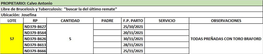 Lote Lote 57 Calvo Antonio