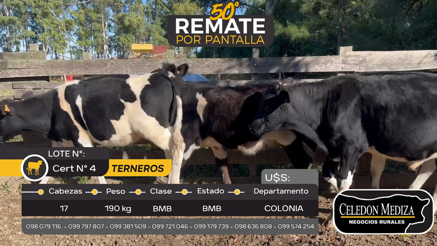Lote 17 Terneros en Otra Localidad, Colonia