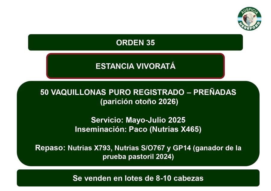 Lote VAQUILLONAS PR PREÑADAS PARICIÓN OTOÑO 2026 - VIVORATÁ