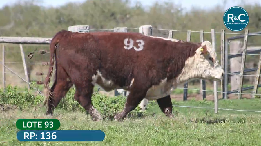 Lote Hereford