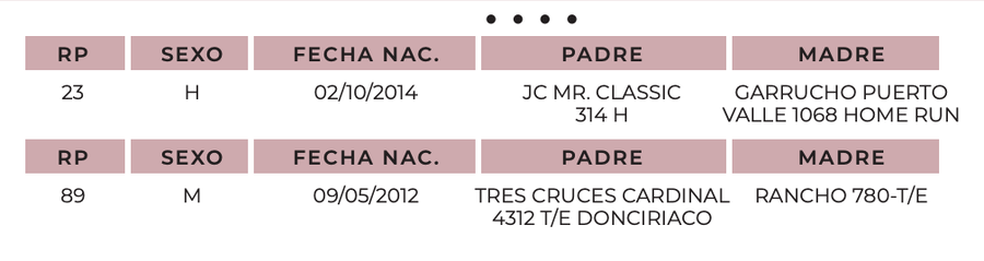 Lote Lote 5 embrioenes