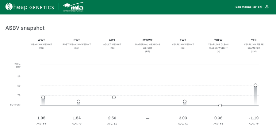Lote Carnero TOP, 21-1441