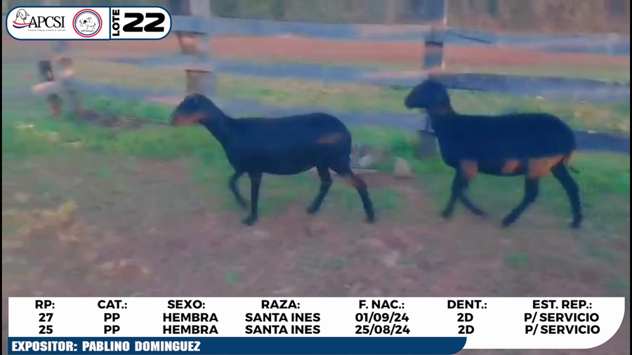 Lote LOTE 22
