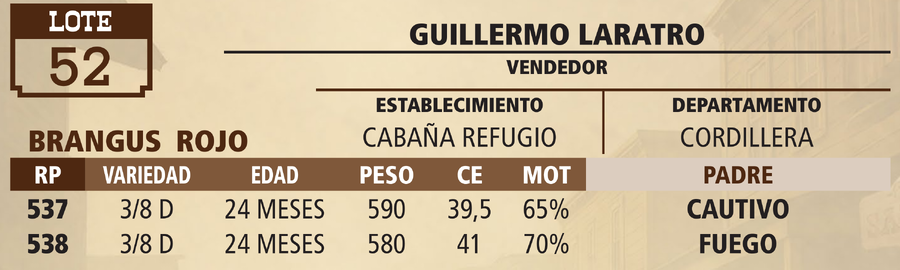 Lote LOTE 52 - VIVO
