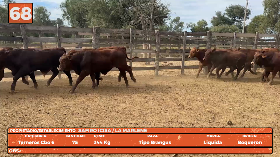 Lote LOTE 68
