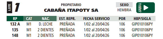 Lote LOTE 1